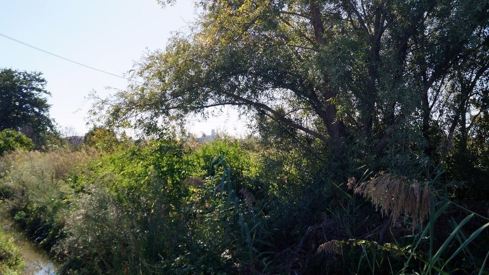 Sèquia al seu pas per la partida de Balàfia. Fotografia: Cristina Mongay.