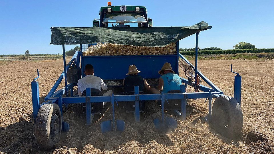 Les màquines de sembra de calçots fabricades a Castellnou de Seana ©Territoriscat