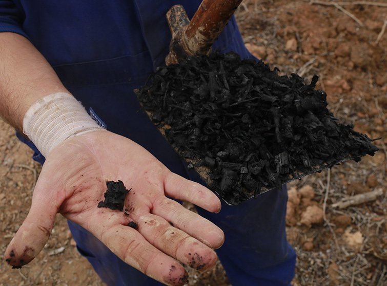 Primer pla d'una mà mostrant biocarbó en una finca de Torrebesses, el 24 de desembre de 2021. (Horitzontal)