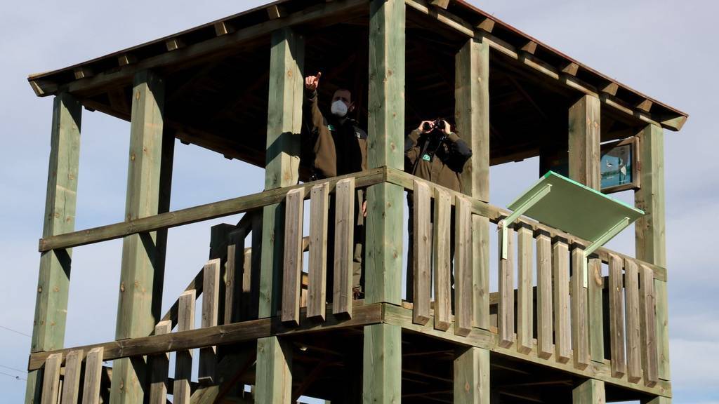 Salvador MiretPla obert amb dos Agents Rurals inspeccionant l'entorn del pantà d'Utxesa per buscar ocells que puguin haver mort per grip aviària, el 10 de geener del 2022. (Horitzontal)