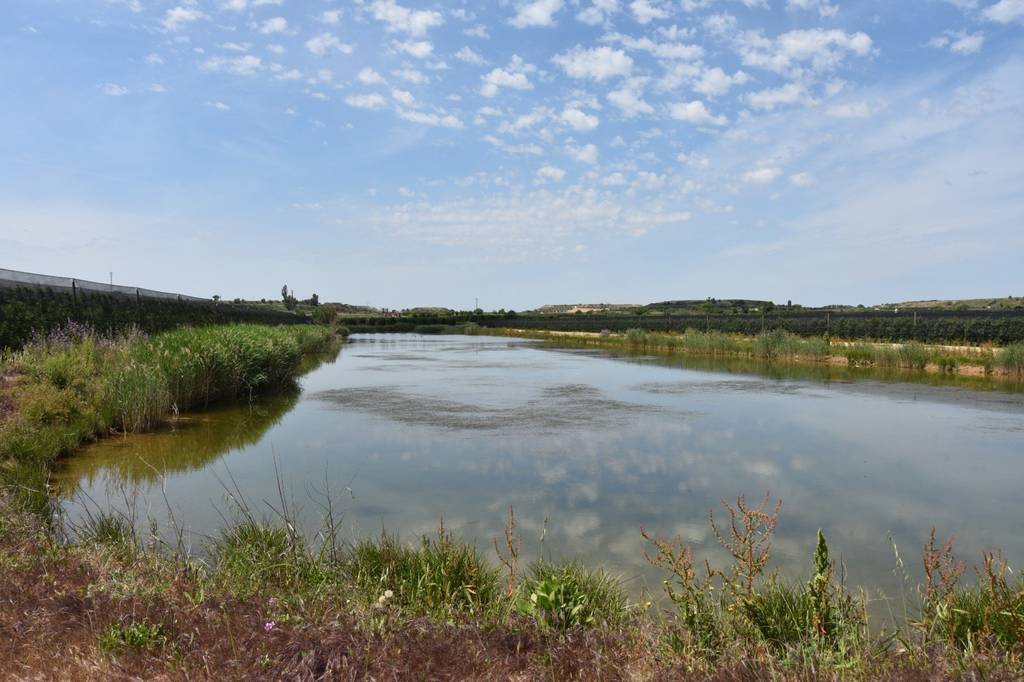 Panta de Vilàs (foto de Xavier Soberà)