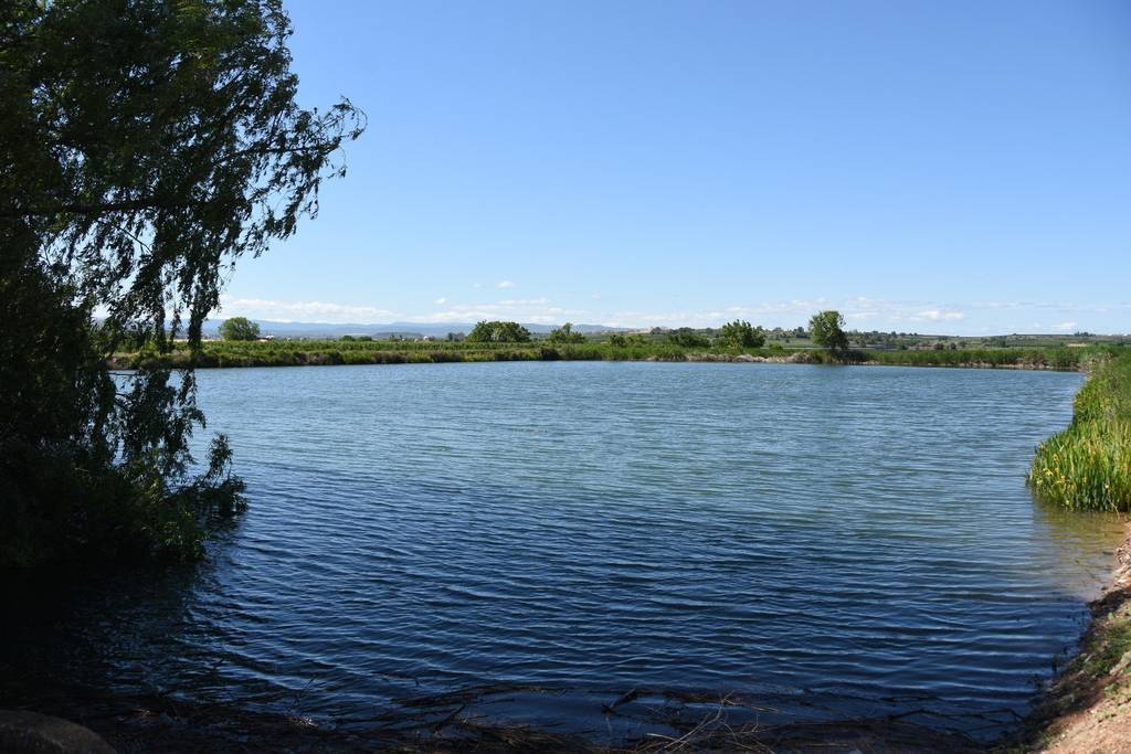 Pantà de la Plana de Baix (foto de Xavier Soberà)