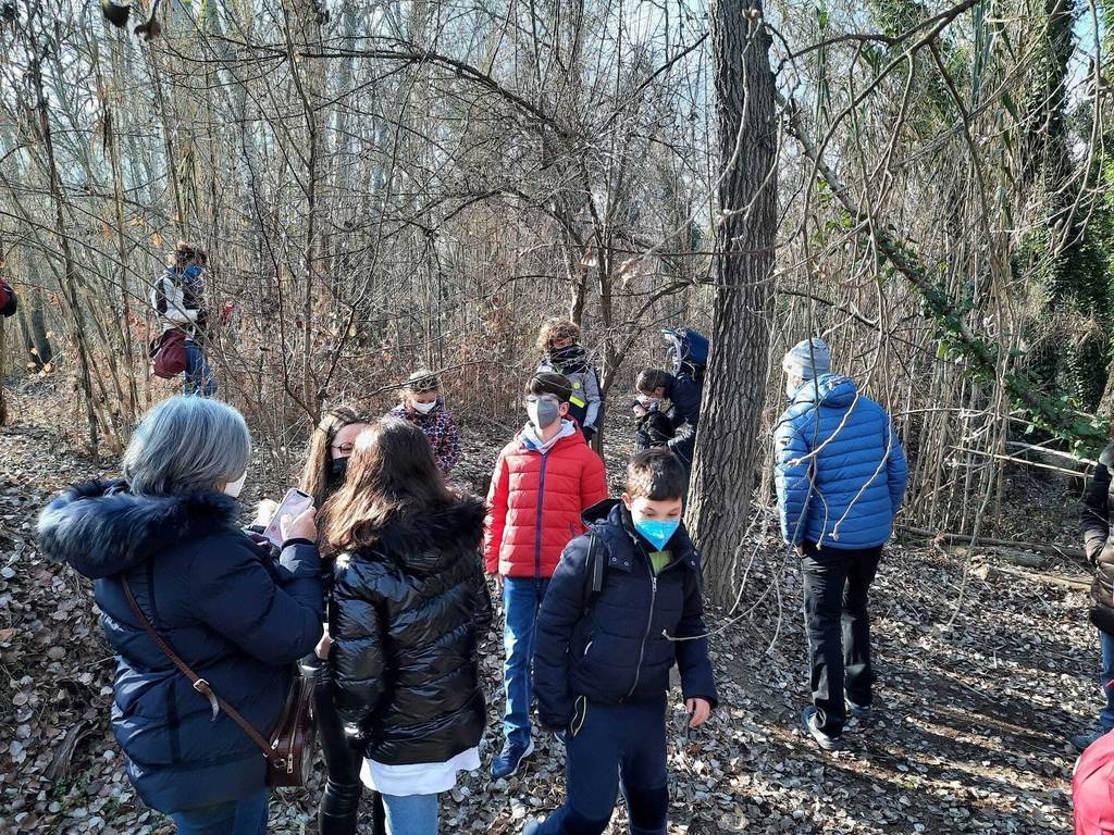 Aquest diumenge, els participants han pogut descobrir tota la vida que s’amaga al bosc a l’hivernFotografia amb alta resolució - Ajuntament de Lleida
