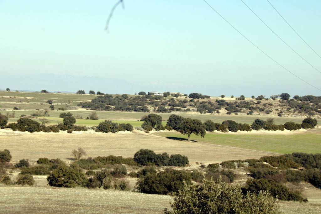 Zona on es vol instal·lar una macrogranja de 9.600 porcs a un quilòmetre del poble del CanósData de publicació: dissabte 22 de gener del 2022, 16:50Localització: El CanósAutor: Anna Berga