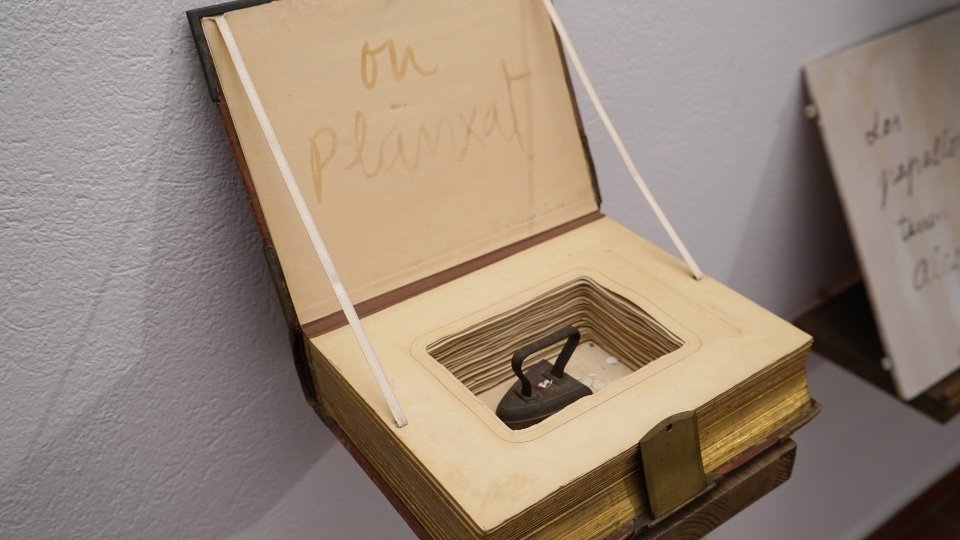 Fundació Lo Pardal d'Agramunt. Fotografia: Cristina Mongay.