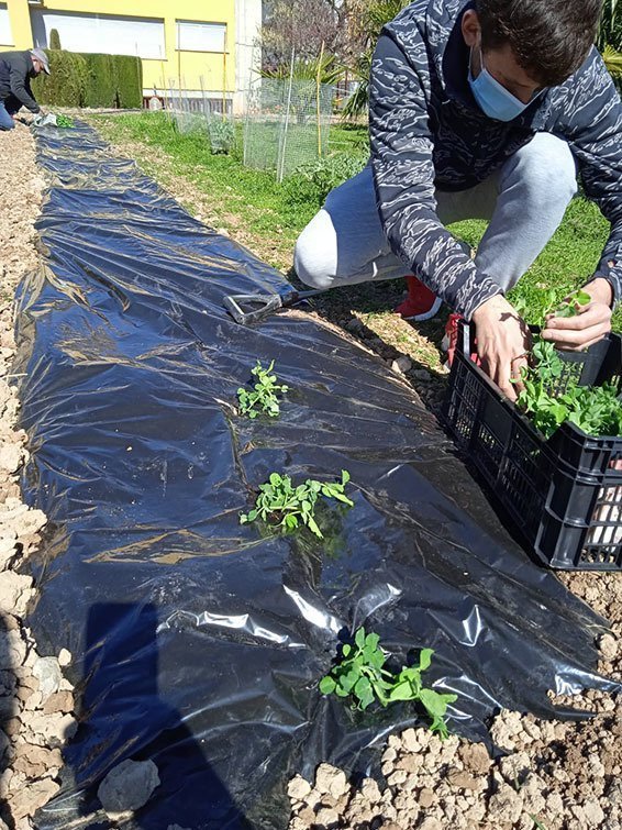 Les Escoles Agràries reben l’acreditació Amed ©EA 2