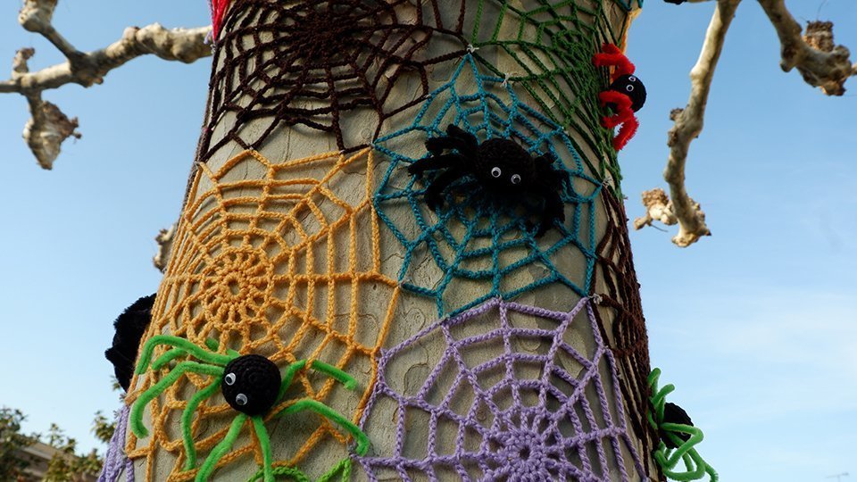 Obres en els arbres de Castellnou de Seana ©JosepAPérez