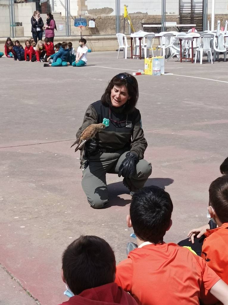 Activitats culturals a ZER l’Oliver de Maials