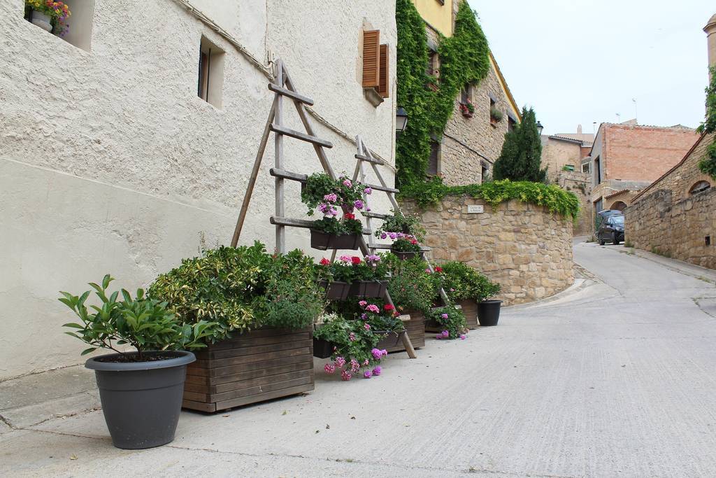 Les Garrigues en Flor al Vilosell ©CCGarrigues