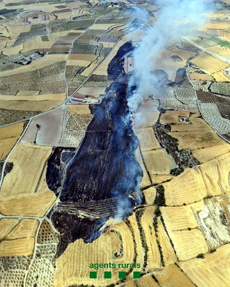 Incendi de conreus a Arbeca ©AgentsRurals