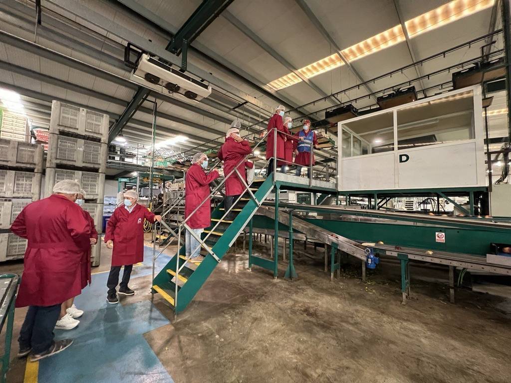 Visita del secretari general de la UGT, Pepe Álvarez a una central frutícola de la plana de Lleida ©UGT