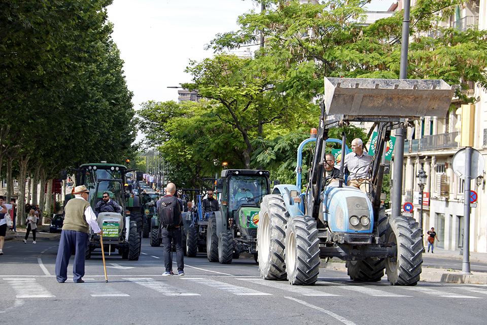 Tractorada d'UP arribant a la subdelegació del govern espanyol a Lleida

Data de publicació: dimarts 09 de maig del 2023, 12:26

Localització: Lleida

Autor: Laura Cortés