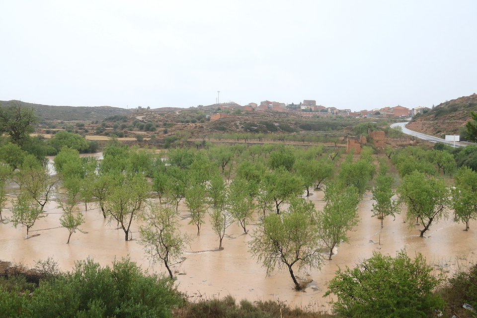 L'aigua ha negat camps d'ametllers a Torrebesses

Data de publicació: diumenge 11 de juny del 2023, 19:34

Localització: Torrebesses

Autor: Ignasi Gómez