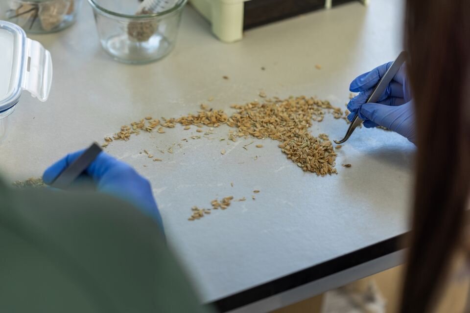 El nou centre busca consolidar Lleida com un pols de recerca agroalimentària en el sud d’Europa